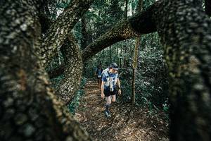 BIB: 
                            <button type="button" onclick="openModal(25392062)" class="btn btn-primary btn-sm float-right btn-popup" data-toggle="modal" data-target=".modal-high-quality">
                        <i class="fas fa-shopping-cart"></i> Add to Cart
                    </button>
                                            <button type="button" onclick="isThisMe(25392062, true)" class="btn btn-success btn-sm float-right btn-popup btn-isme hidden" data-toggle="tooltip" data-placement="bottom" title="นี่คือรูปของคุณใช่ไหม คลิกที่นี่เพื่อเอาเข้าอัลบั้ม">
                        <i class="fas fa-plus"></i> Add to album
                    </button>
                    <button type="button" onclick="isThisMe(25392062, false)" class="btn btn-warning btn-sm float-right btn-popup btn-isnotme hidden">
                        <i class="fas fa-ban"></i> Remove from album
                    </button>